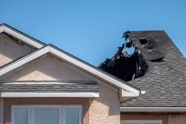 Top rated local Board Up Services specialists in Springtown, TX